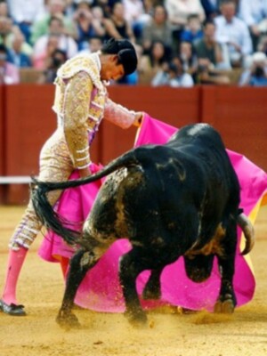 Rafael Cerro da una vuelta al ruedo 