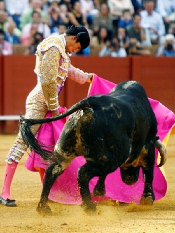 Rafael Cerro da una vuelta al ruedo 