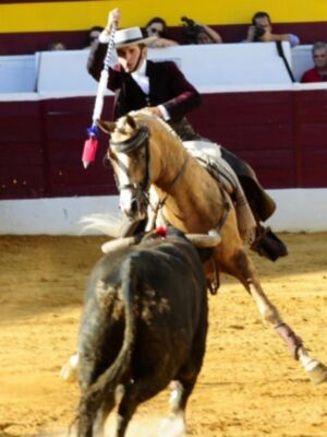 Diego Ventura triunfa en Zafra