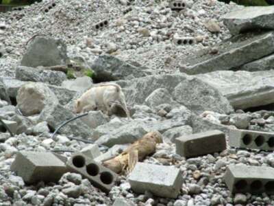 LA PRESTIGIOSA UNIVERSIDAD ESTATAL DE BOLIVAR, ECUADOR, CONCEDE EL AVAL ACADÉMICO AL CURSO MÉTODO ARCÓN 