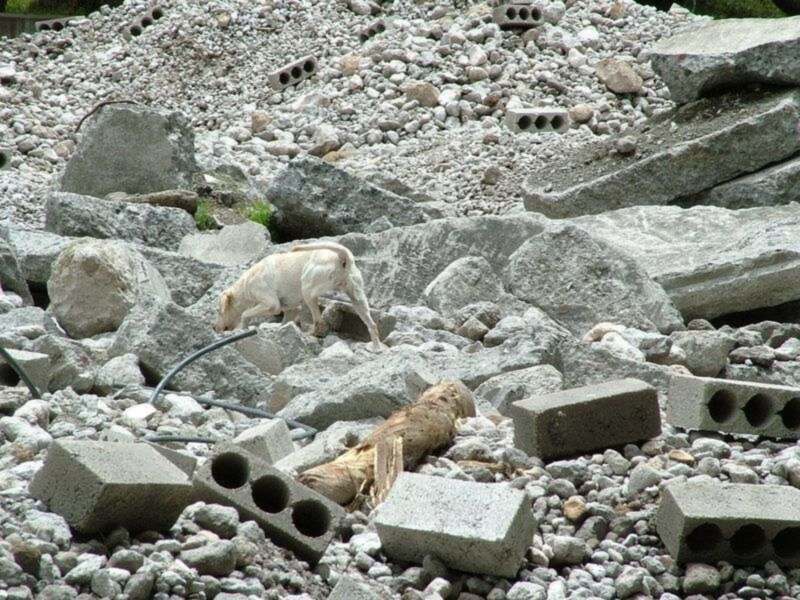 LA PRESTIGIOSA UNIVERSIDAD ESTATAL DE BOLIVAR, ECUADOR, CONCEDE EL AVAL ACADÉMICO AL CURSO MÉTODO ARCÓN 