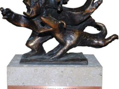 Jaime Parejo y su trascendente Legado en favor de la Vida