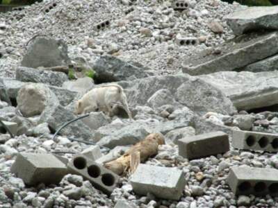 El Método Arcón demostrará oficialmente en Málaga su óptima eficacia para el salvamento de vidas