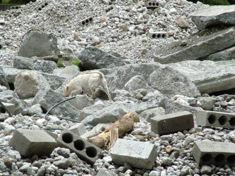 El Método Arcón demostrará oficialmente en Málaga su óptima eficacia para el salvamento de vidas