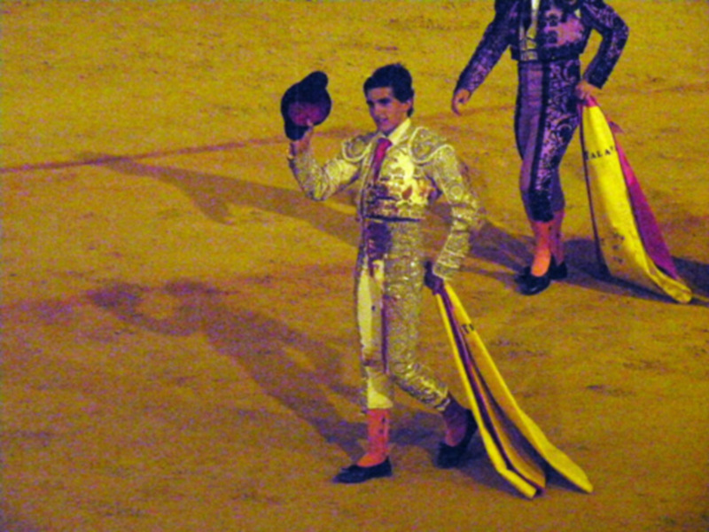 Segunda Novillada de promoción en la plaza de toro de Sevilla.