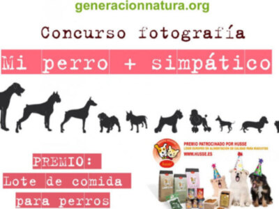 La franquicia de mascotas Husse organiza un concurso en Facebook para encontrar al perro más simpático de España