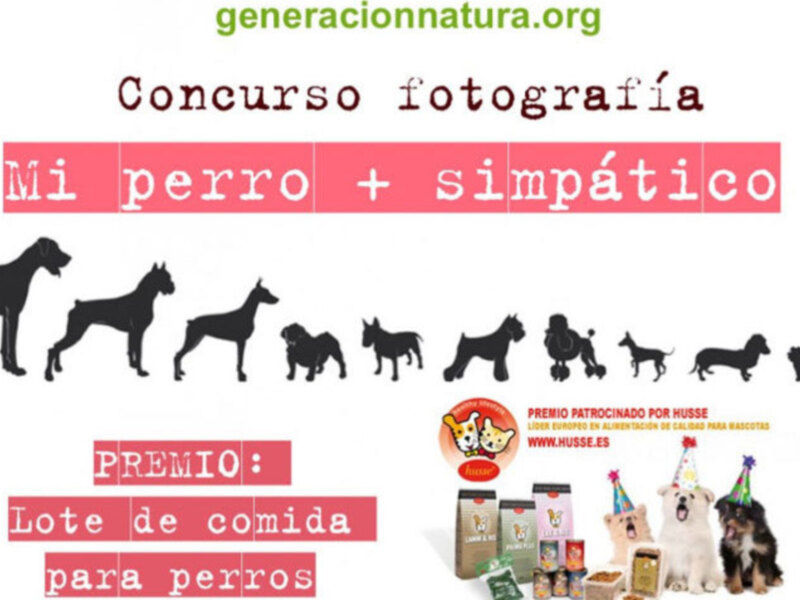 La franquicia de mascotas Husse organiza un concurso en Facebook para encontrar al perro más simpático de España