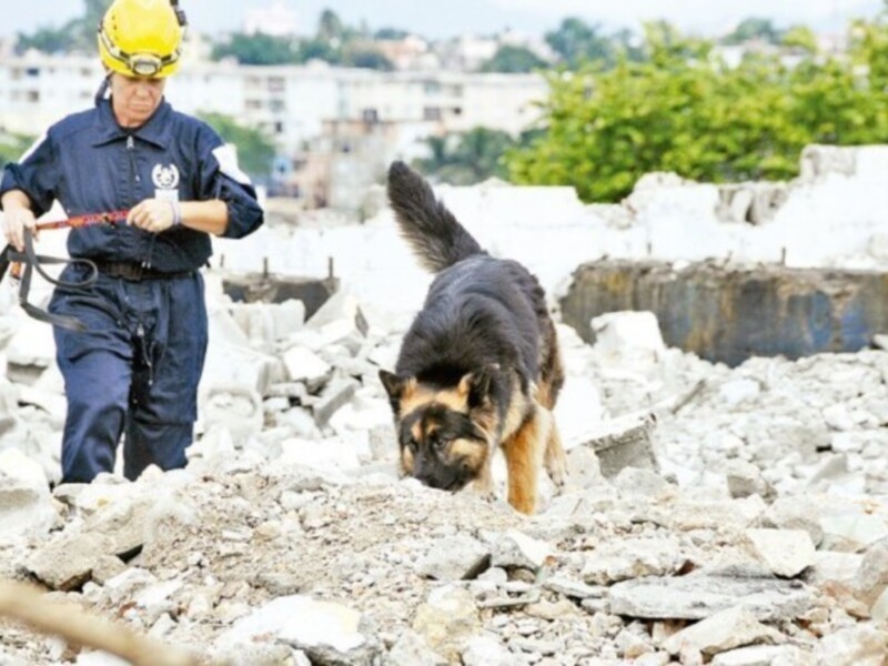 SE CLAUSURA EL XXXVIII CURSO METODO ARCON, IMPARTIDO POR BUSF BOMBEROS UNIDOS SIN FRONTERAS, EN REPUBLICA DOMINICANA, IMPACTANDO LA EXTRAORDINARIA EFICACIA DEMOSTRADA