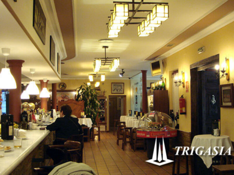 Trigasia ofrece estudios gratuitos de ahorro energético en la iluminación de negocios y viviendas