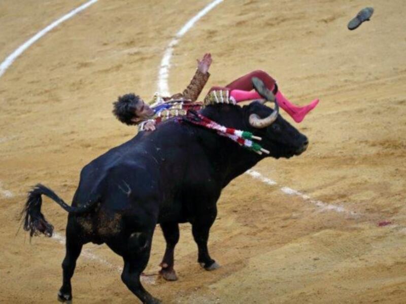 Espectacular cogida de José Tomás en su reaparición en Granada donde cortó tres orejas