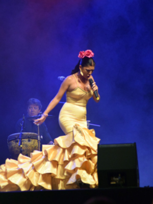 Sevilla.La Velá  de Triana se vistió de Coplas.