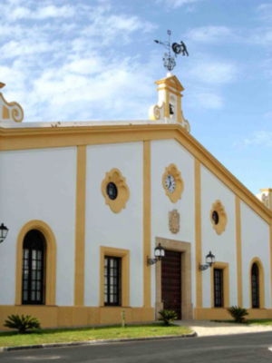 Valdespino elegida una de las 100 mejores bodegas del mundo. 