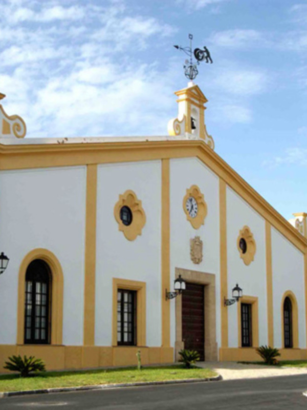 Valdespino elegida una de las 100 mejores bodegas del mundo. 