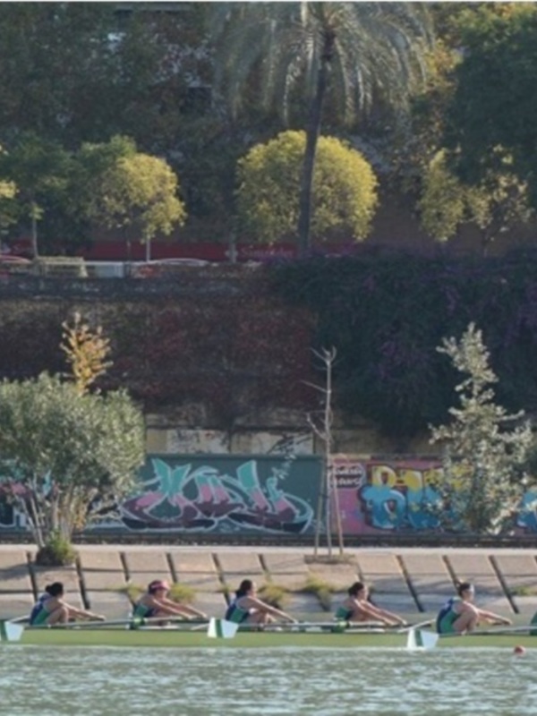 Subcampeonato para el Náutico Sevilla en el Abierto Internacional de Andalucía de remo