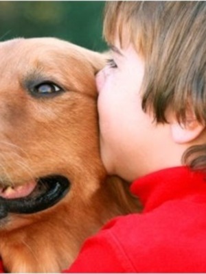 Cuidar de la salud de los animales previene la transmisión de enfermedades a las personas