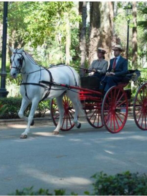   JOSÉ VARO GARRIDO, GANADOR DEL III CONCURSO INTERNACIONAL CIAT CIUDAD DE SEVILLA