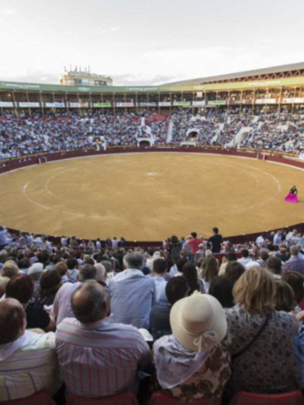 Nuevo triunfo de la solidaridad y éxito artístico en el festival contra el cáncer