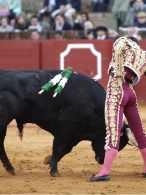 Rafa Serna corta una oreja en la segunda novillada de abono