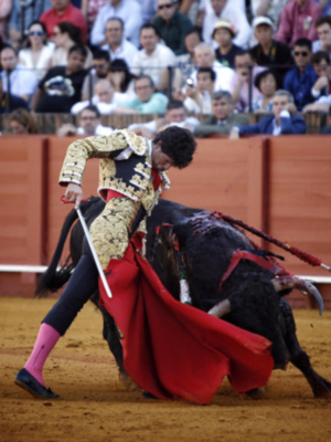 David Martín corta una oreja y da una vuelta al ruedo