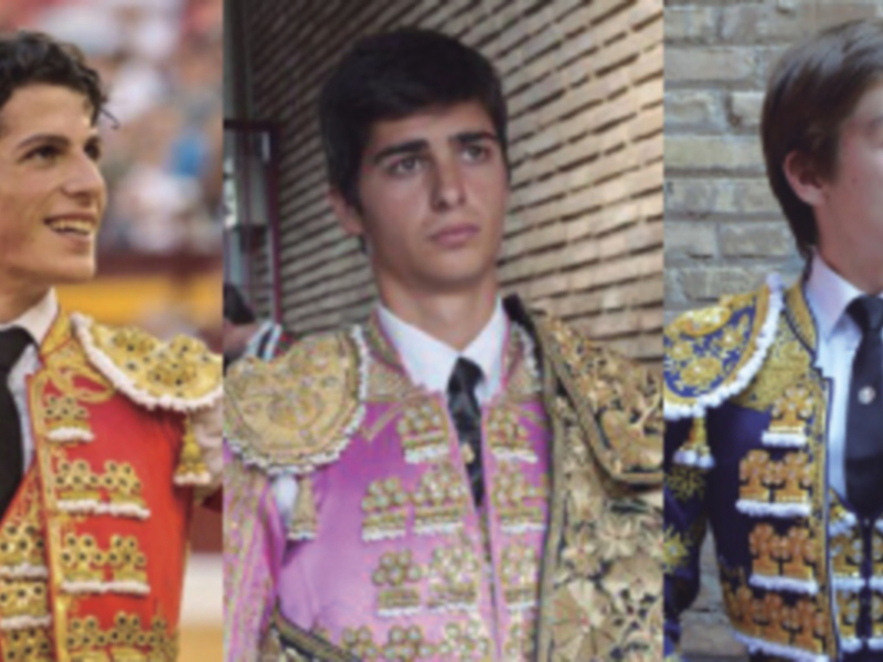 1ª Novillada de Promoción 2016 en La Maestranza