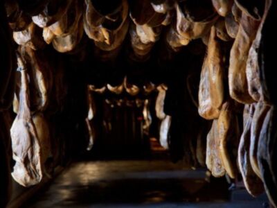 La Bodega Cinco Jotas se afianza como un lugar de visita imprescindible del sur de la Península