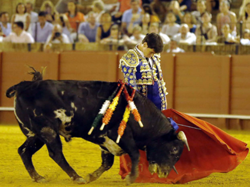 Vueltas al ruedo para Rodrigo Molina y David Salvador
