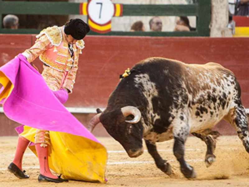 Perera y David Mora un trofeo cada uno
