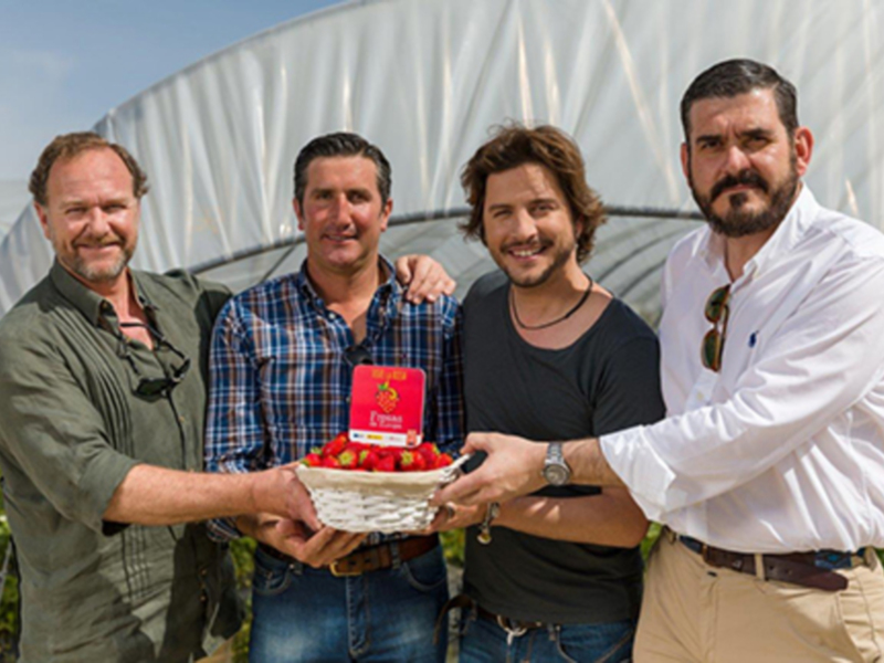 Manuel Carrasco embajador de ‘Fresas de Huelva