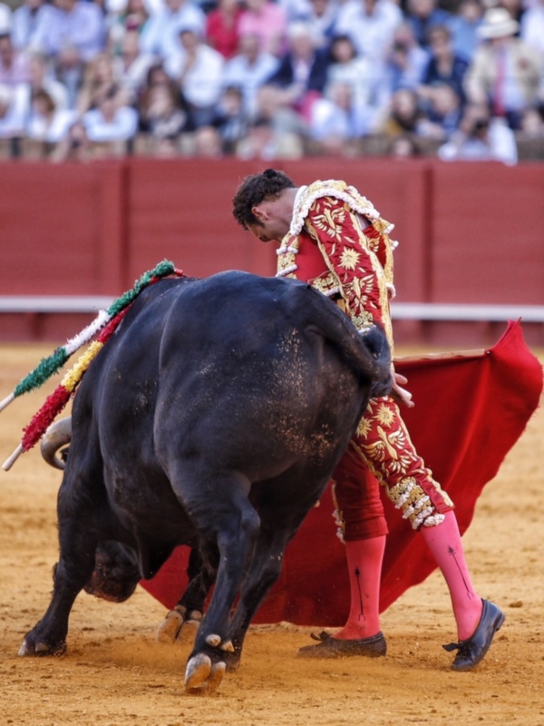 Gran tarde de Antonio Ferrera, que da dos vueltas al ruedo