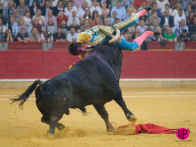 Dos orejas para Cayetano que recibe una grave cornada, otra corta Ponce