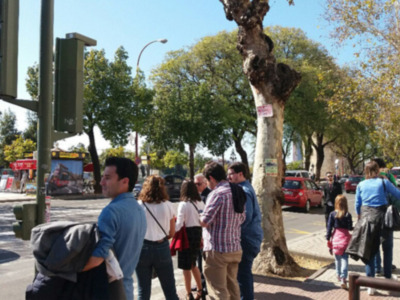 Los alergólogos alertan de una primavera con un nivel alto de afectación para alérgicos a las plantas