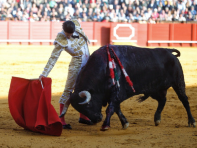 Talavante toca pelo en la quinta del abono