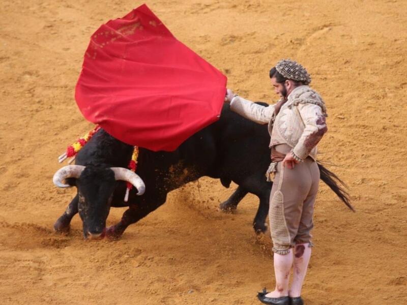 Viki Martínez Berrocal diseñó el traje de goyesco de Morante de La Puebla inspirado en el cuadro de los Goya