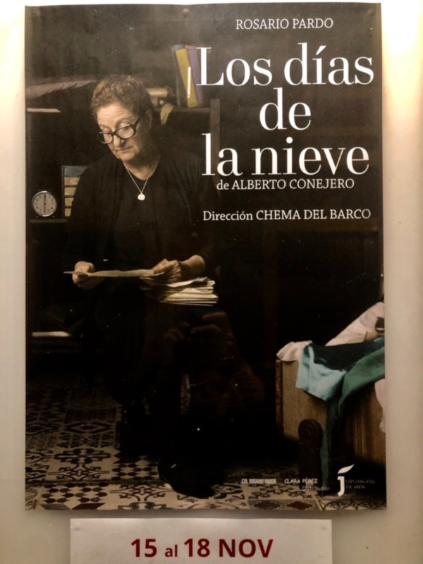 Rosario Pardo hasta el Domingo en la Sala La Fundición de Sevilla con "Los días de la nieve"