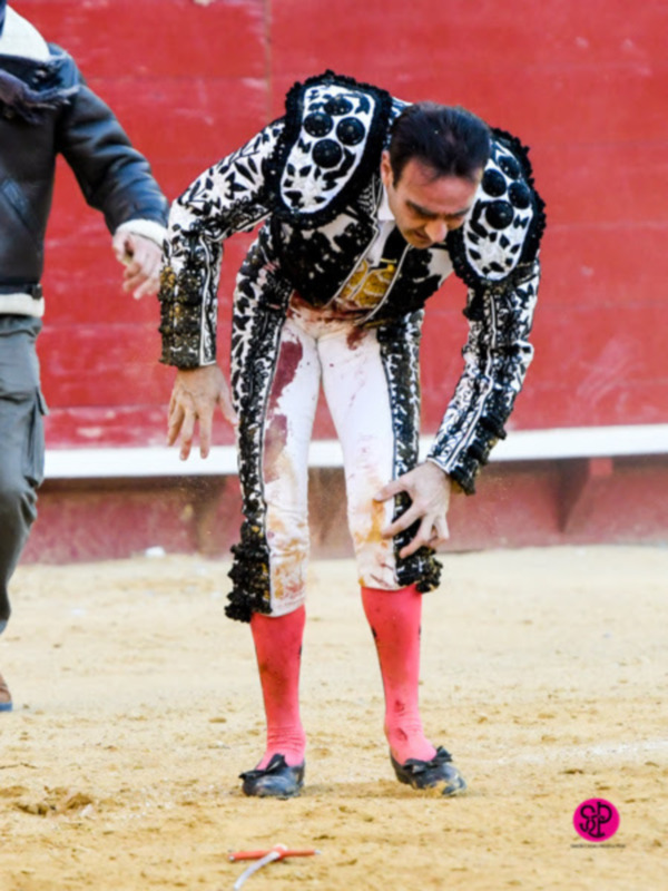 Ponce cae herido tras cortar una oreja, mismo premio que Ventura