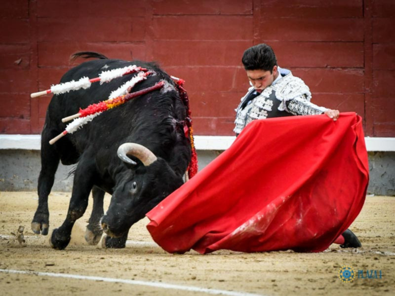 Primera novillada del ciclo con reses de Conde de Mayalde que dieron buen juego en tarde encapotada.