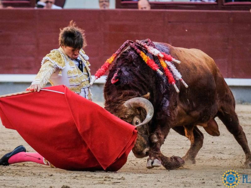 Oreja y grave cornada a Juan Leal
