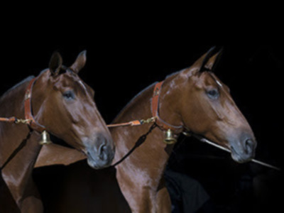 SICAB 2020 se adelanta a octubre con un formato de dos semanas deportivas