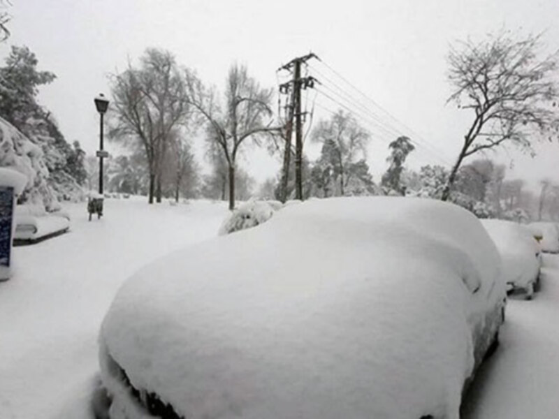 Las claves de gestión de la inteligencia.