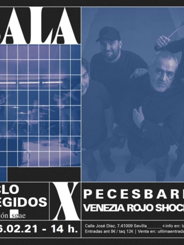 El rock indie de Pecesbarba retoma el Ciclo Elegidos de Fundación SGAE en Sala X