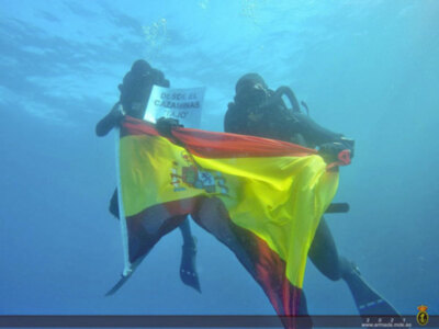 En la actualidad, la Fuerza MCM está integrada en distintas agrupaciones de la OTAN