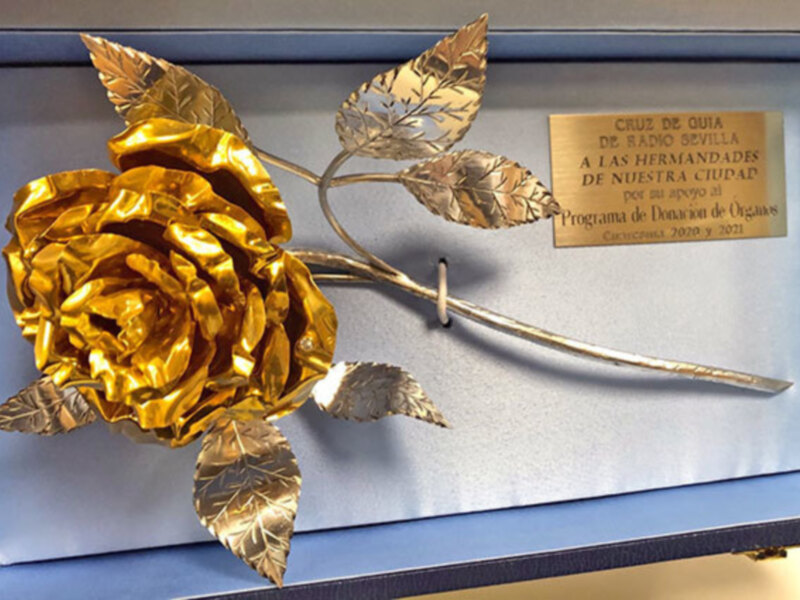 Entrega de la Rosa de Pasión a la Hermandad de la Vera- Cruz de Alcalá del Río.