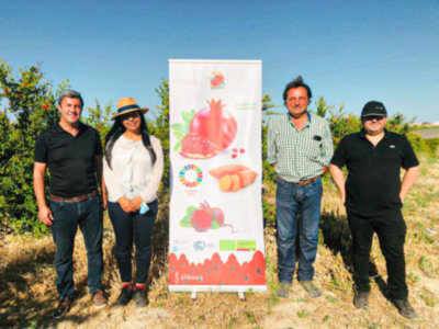 Apytermi aborda la gestión de la agenda 2030“la producción de alimentos sostenibles, sanos y respetuosos con el medio ambiente “en la Comarca de Regla