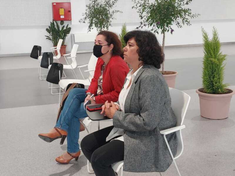  IU lleva a Diputación la escasez de conexiones ferroviarias de la provincia de Cádiz y las deficiencias del servicio