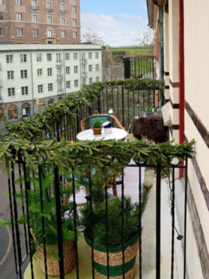  III Concurso de Fachadas y Balcones Navideños en la localidad de Alcalá del Río