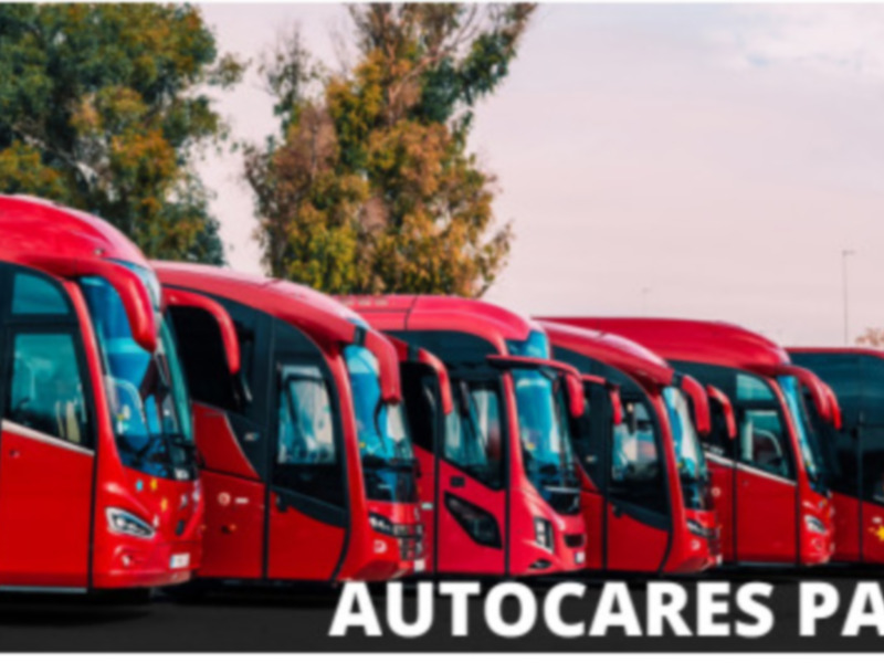 Excursión del Ateneo del Ateneo de Triana para conocer el proceso del Mosto en Bollullos de la Mitación.