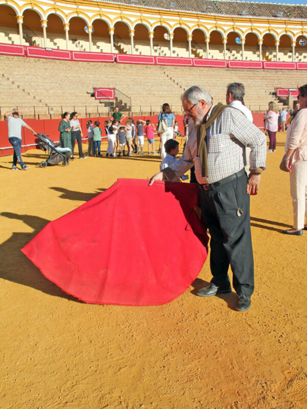 El inmenso ruedo de la plaza de la Maestranza volvió a estar al alcance de todos los aficionados  taurino 