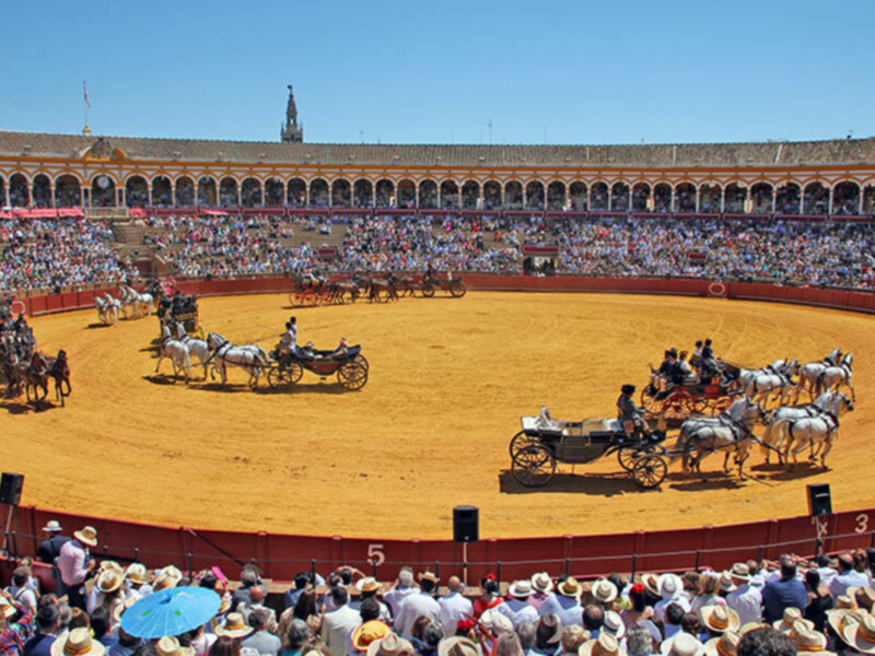 Los enganches de la Feria de Abril lucen en la Maestranza de Sevilla.