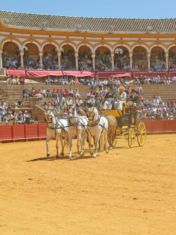 Un total de 92 carruajes han lucido en la 39 Exhibición, de Enganches de Sevilla que congregó en la plaza de toros a unas 11.000 personas