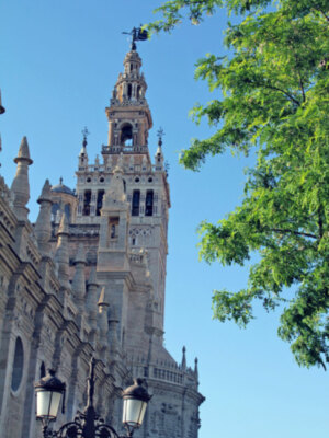 Mas del 10 % de la visitas a la Catedral y Giralda son ofrecida gratuitamente